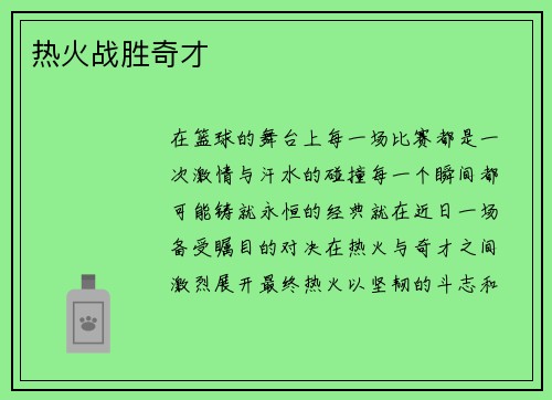 热火战胜奇才