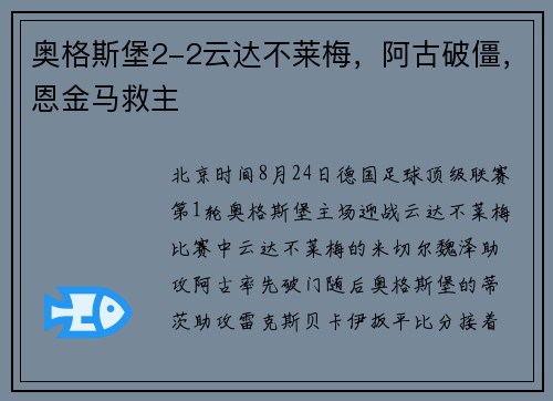 奥格斯堡2-2云达不莱梅，阿古破僵，恩金马救主